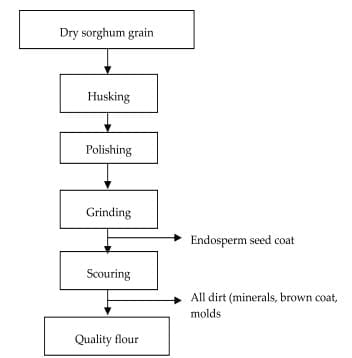 Sustainability and Effectiveness of Artisanal Approach to Control Mycotoxins Associated with Sorghum Grains and Sorghum Based Food in Sahelian Zone of Cameroon - Image 4