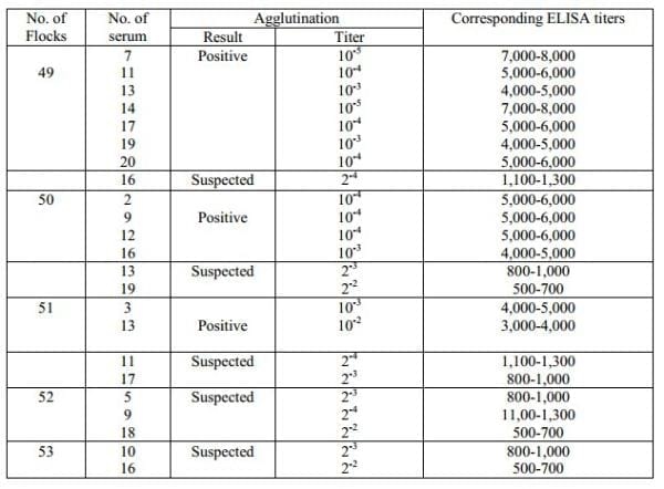 Development of Slide Micro-agglutination System for the Rapid Diagnosis of Salmonella Infection in the Chicken - Image 9