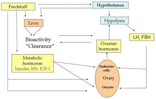 Reproductive Performance in High-producing Dairy Cows: Can We Sustain it Under Current Practice?- Part II - Image 7