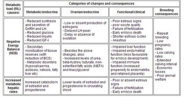 Reproductive Performance in High-producing Dairy Cows: Can We Sustain it Under Current Practice?- Part II - Image 6