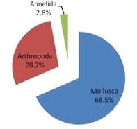 Benthic Invertebrate Fauna in Ashtoum El Gamil Protected Area (Lake Manzalah) - Image 8