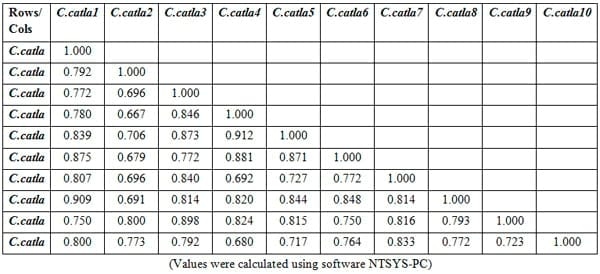 To evaluate genetic variation within and among the two different stocks of Catla catla in Orissa based on RAPD profiles - Image 17