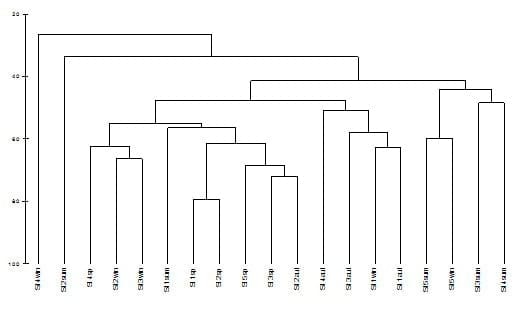 A Survey Study on Ashtoum El-Gamil Park's Water Concerning Phytoplankton Populations - Image 2