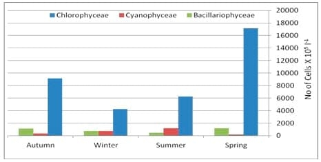 A Survey Study on Ashtoum El-Gamil Park's Water Concerning Phytoplankton Populations - Image 8