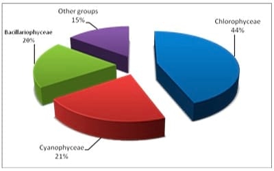 A Survey Study on Ashtoum El-Gamil Park's Water Concerning Phytoplankton Populations - Image 5