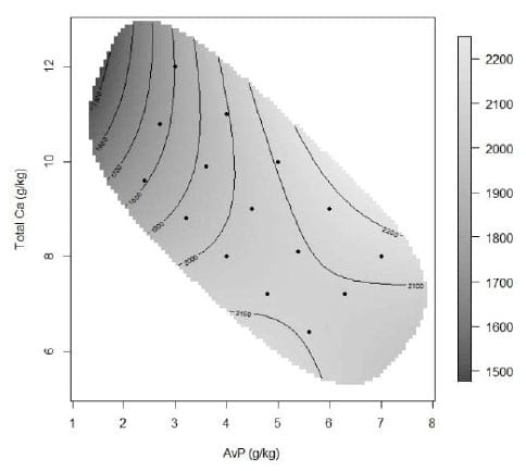 Calcium and Phosphorus Interactions in Broiler Nutrition: A Geometric Framework approach - Image 1