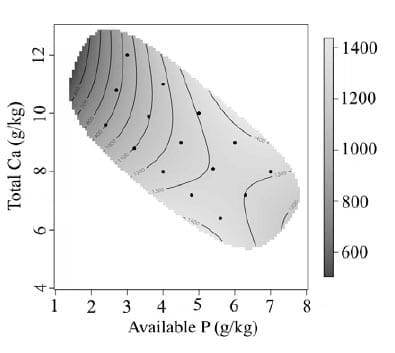 Using the Geometric Framework to Explore Calcium and Phosphorus Interactions and the Effect on Broiler Welfare - Image 2