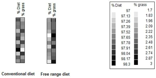 Are we turning chickens into cows: How much grass do free range broiler eat? - Image 2