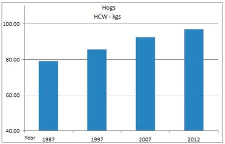 Points to Ponder When Raising Heavier Weight Pigs - Image 1