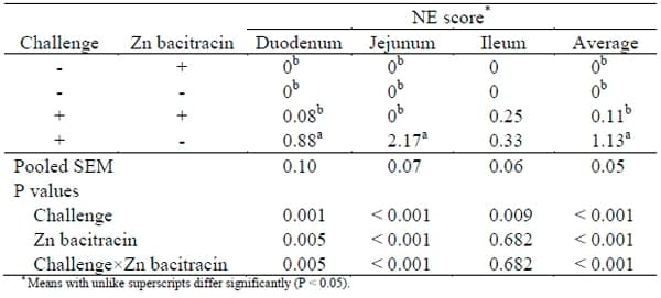 A New Low Mortality Necrotic Enteritis Challenge Model - Image 1