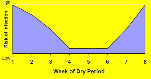 Managing the Dry Period for Milk Quality - Image 3
