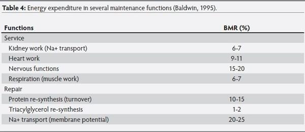 The metabolic basis of feed-energy efficiency in swine - Image 4