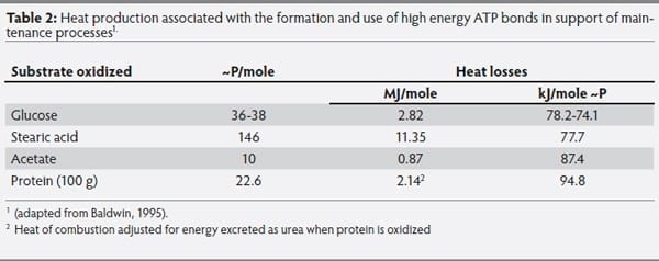 The metabolic basis of feed-energy efficiency in swine - Image 2