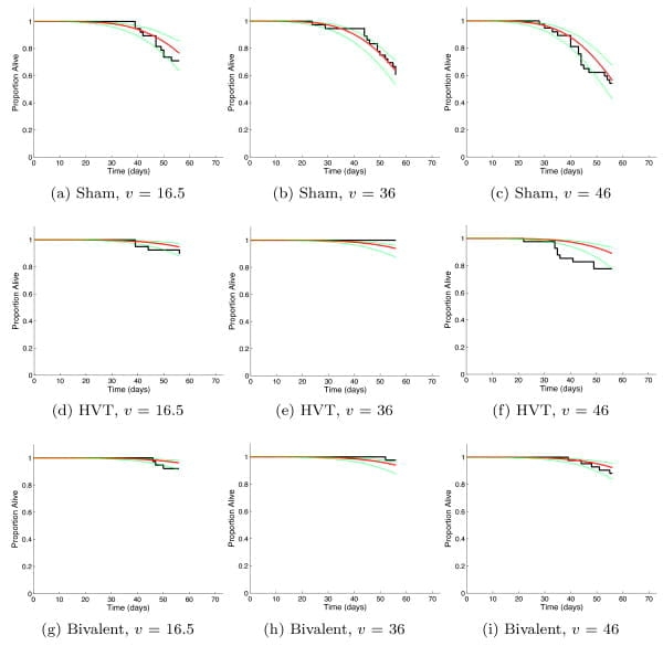Modelling Marek's Disease Virus (MDV) infection: parameter estimates for mortality rate and infectiousness - Image 3
