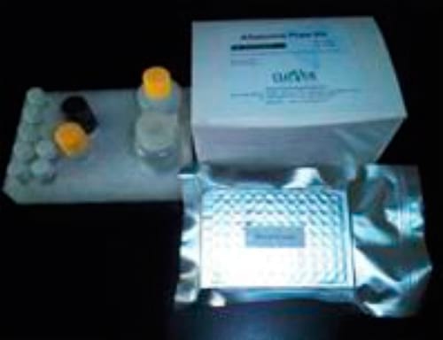 Safe feeds save the bottom line in unsafe times - Image 2
