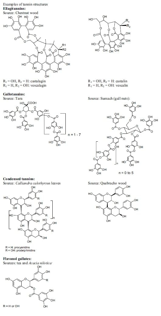 Inhibition of Salmonella Typhimurium by Tannins in vitro - Image 1