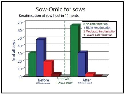 Focus on lameness and claw health - Image 4