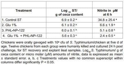 Effect of Glutamine Supplementation Associated with Probiotics on Salmonella Typhimurium and Nitric Oxide or Glutamine with Perinatal Supplement on Growth Performance and Intestinal Morphology in Broiler Chickens - Image 4