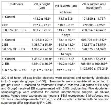 Effect of Glutamine Supplementation Associated with Probiotics on Salmonella Typhimurium and Nitric Oxide or Glutamine with Perinatal Supplement on Growth Performance and Intestinal Morphology in Broiler Chickens - Image 7