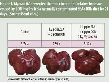 Evaluating anti-mycotoxin additives in feed - Image 2