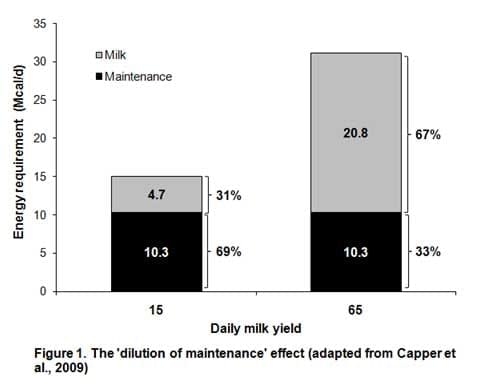 Dairy Carbon Footprint - Image 1