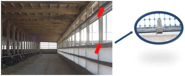 Cross-Ventilated Barns for Dairy Cows: New Building Design with Cow Comfort in Mind - Image 11