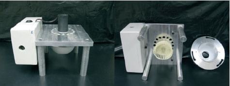 Detection of Airborne Influenza A Virus in Experimentally Infected Pigs With Maternally Derived Antibodies - Image 1