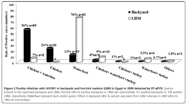Surveillance on A/H5N1 Virus in Domestic Poultry and Wild Birds in Egypt - Image 4