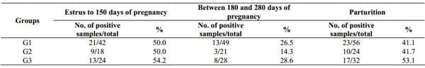 Excretion of Brucella abortus vaccine B19 strain during a reproductive cycle in dairy cows - Image 4