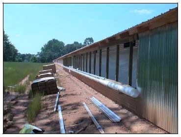 How do Tunnel Inlet Doors Affect Air Velocity Distribution in Tunnel Houses? - Image 1