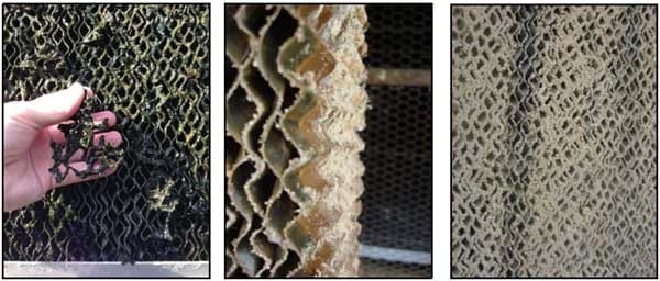 How Much Do Evaporative Cooling Pads Reduce Air Speed? - Image 4