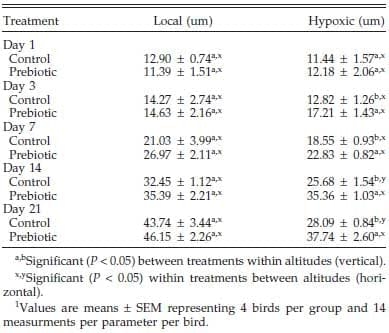 Effect of Prebiotic on Gut Development and Ascites Incidence of Broilers Reared in a Hypoxic Environment1 - Image 3