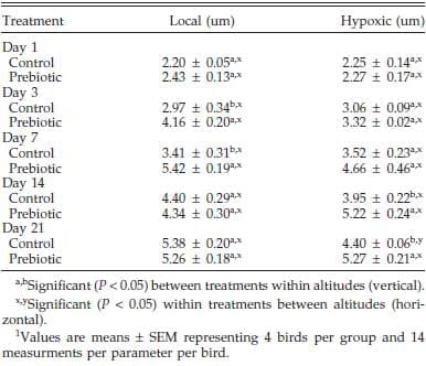 Effect of Prebiotic on Gut Development and Ascites Incidence of Broilers Reared in a Hypoxic Environment1 - Image 6