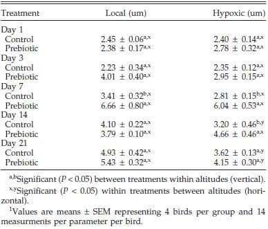 Effect of Prebiotic on Gut Development and Ascites Incidence of Broilers Reared in a Hypoxic Environment1 - Image 8