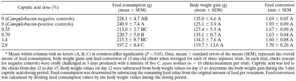 Therapeutic Supplementation of Caprylic Acid in Feed Reduces Campylobacter jejuni Colonization in Broiler Chicks - Image 2