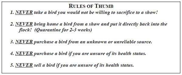 Biosecurity Principles: Protecting your investment - Image 1