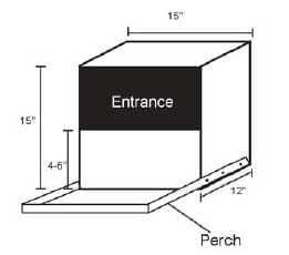 Basics for Raising Backyard Chickens - Image 3