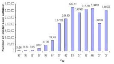 Spiny Lobster Farming in Vietnam and the Role of Probiotics during Production - Image 1