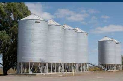 Feeding Pregnant Sows in Group Housing Systems - Image 9
