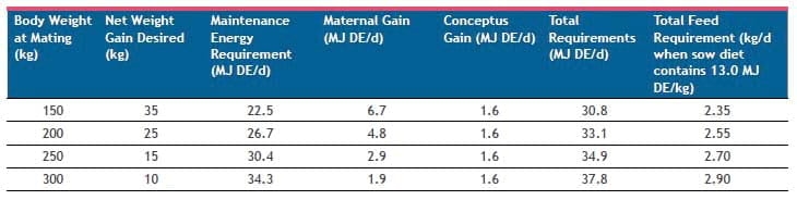 Feeding Pregnant Sows in Group Housing Systems - Image 2