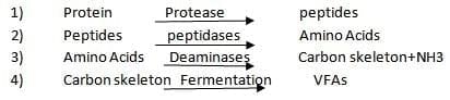A Pocket Guide To Ruminant Digestion - Image 5
