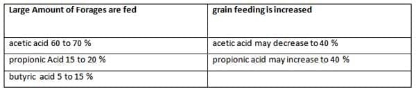 A Pocket Guide To Ruminant Digestion - Image 3