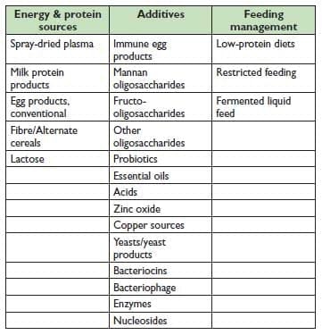 Health Management with Reduced Use of Antibiotics in Pig Production - Image 1