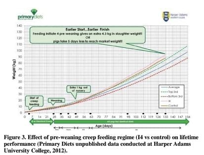 New Applications in Nursery Nutrition and Management: Giving Piglets the Best Possible Start with Practical Management Tips and Nutrition Concepts - Image 4