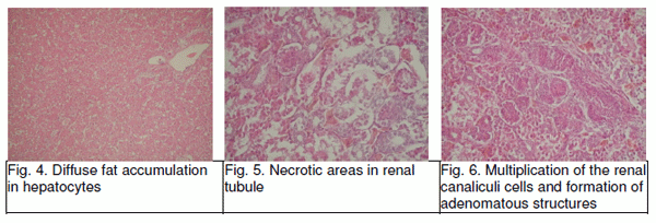 Efficacy of Minazel Plus ® a) In Reducing Detrimental Effects of Ochratoxin A, in Broilers - Image 5