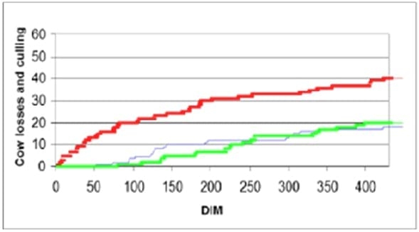 Conjugated Linoleic Acid (CLA) is supporting yield, health and fertility of the dairy cow - Image 6
