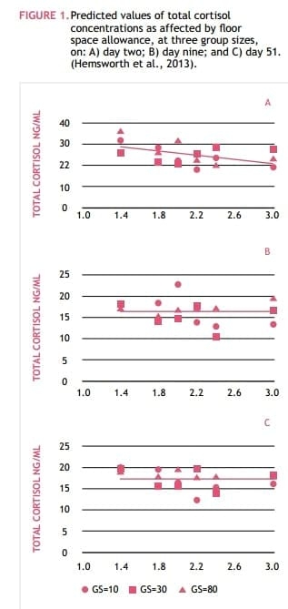 Mixing Sows – How to Maximise Welfare - Image 2