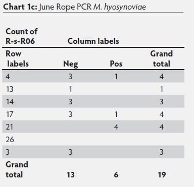 Mycoplasma hyosynoviae A Case Study: Quantitative assessment of incidence and severity across time alongside a diagnostic monitoring plan and intervention - Image 42