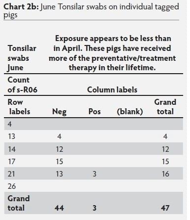 Mycoplasma hyosynoviae A Case Study: Quantitative assessment of incidence and severity across time alongside a diagnostic monitoring plan and intervention - Image 44