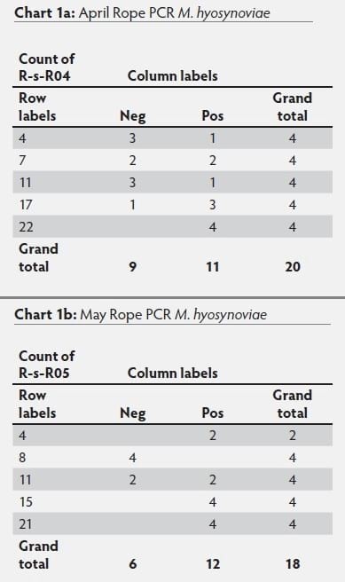 Mycoplasma hyosynoviae A Case Study: Quantitative assessment of incidence and severity across time alongside a diagnostic monitoring plan and intervention - Image 41
